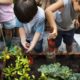 K-12 youth educational garden grants, children gardening