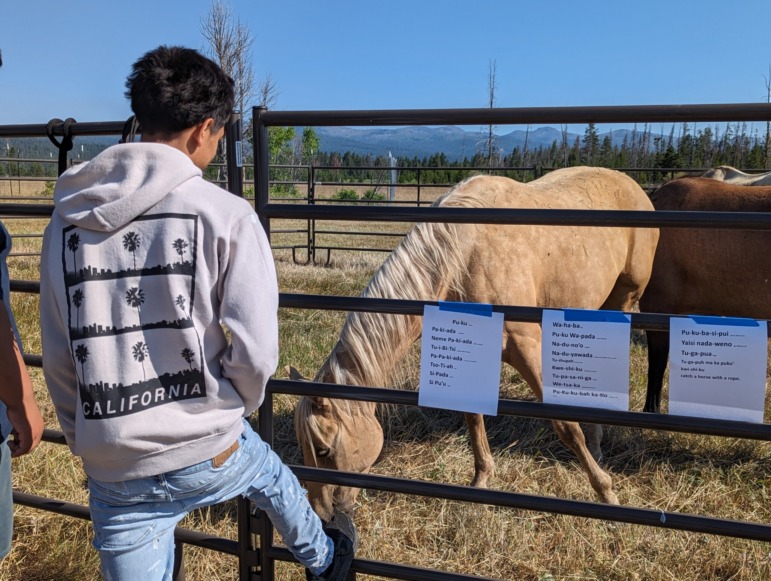 Healing Children of Horse Nations: